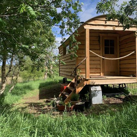 Hotel Birkenshaw - Beautiful Shepherd'S Hut In The Highlands. Dornoch Esterno foto