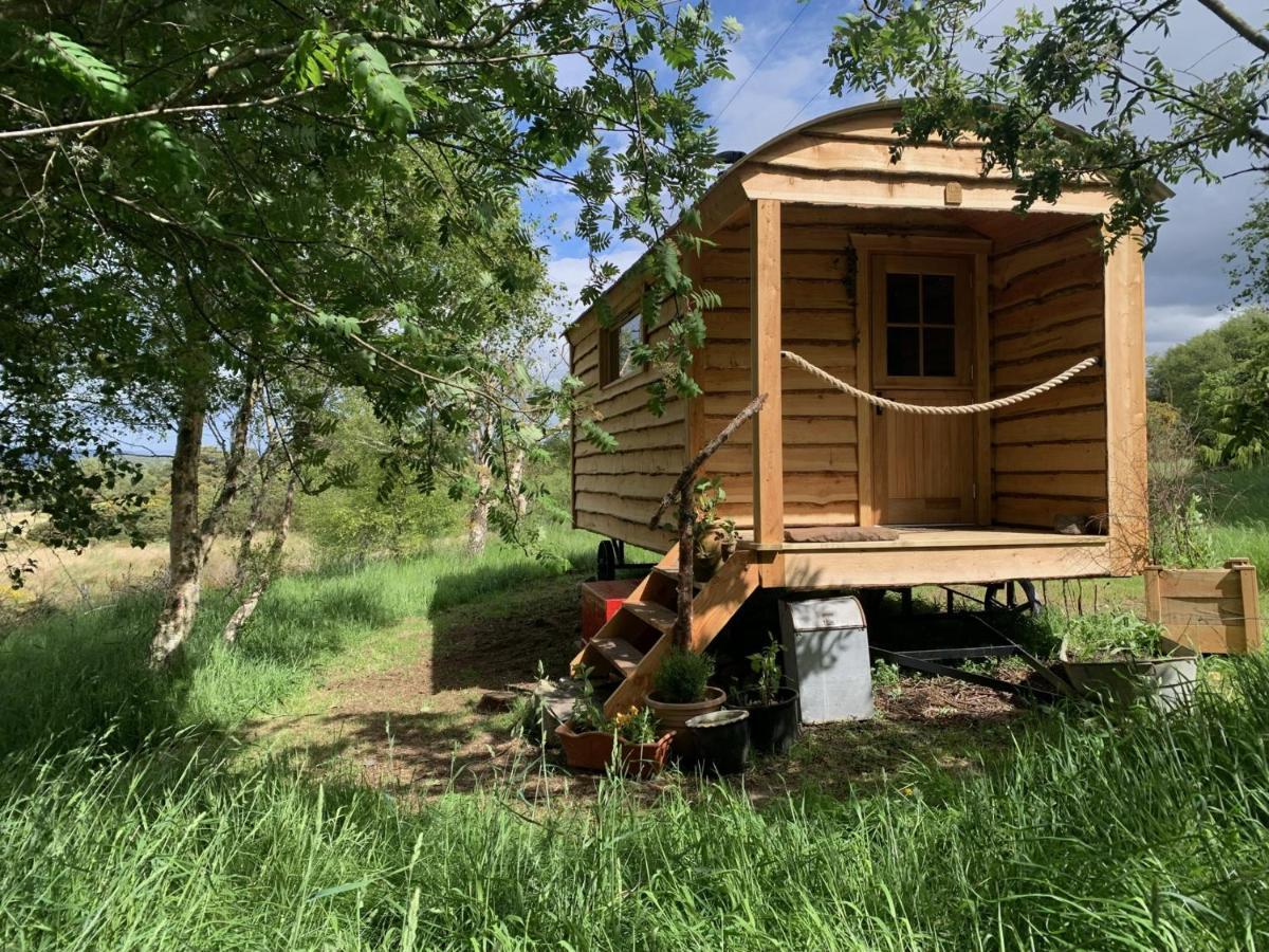 Hotel Birkenshaw - Beautiful Shepherd'S Hut In The Highlands. Dornoch Esterno foto