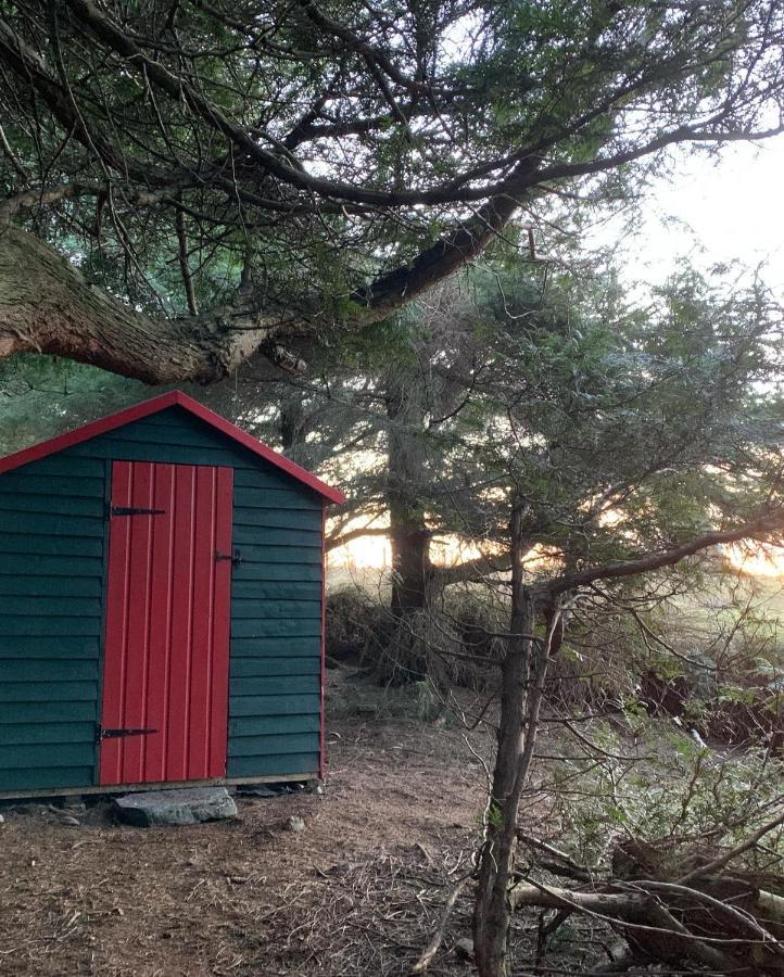 Hotel Birkenshaw - Beautiful Shepherd'S Hut In The Highlands. Dornoch Esterno foto