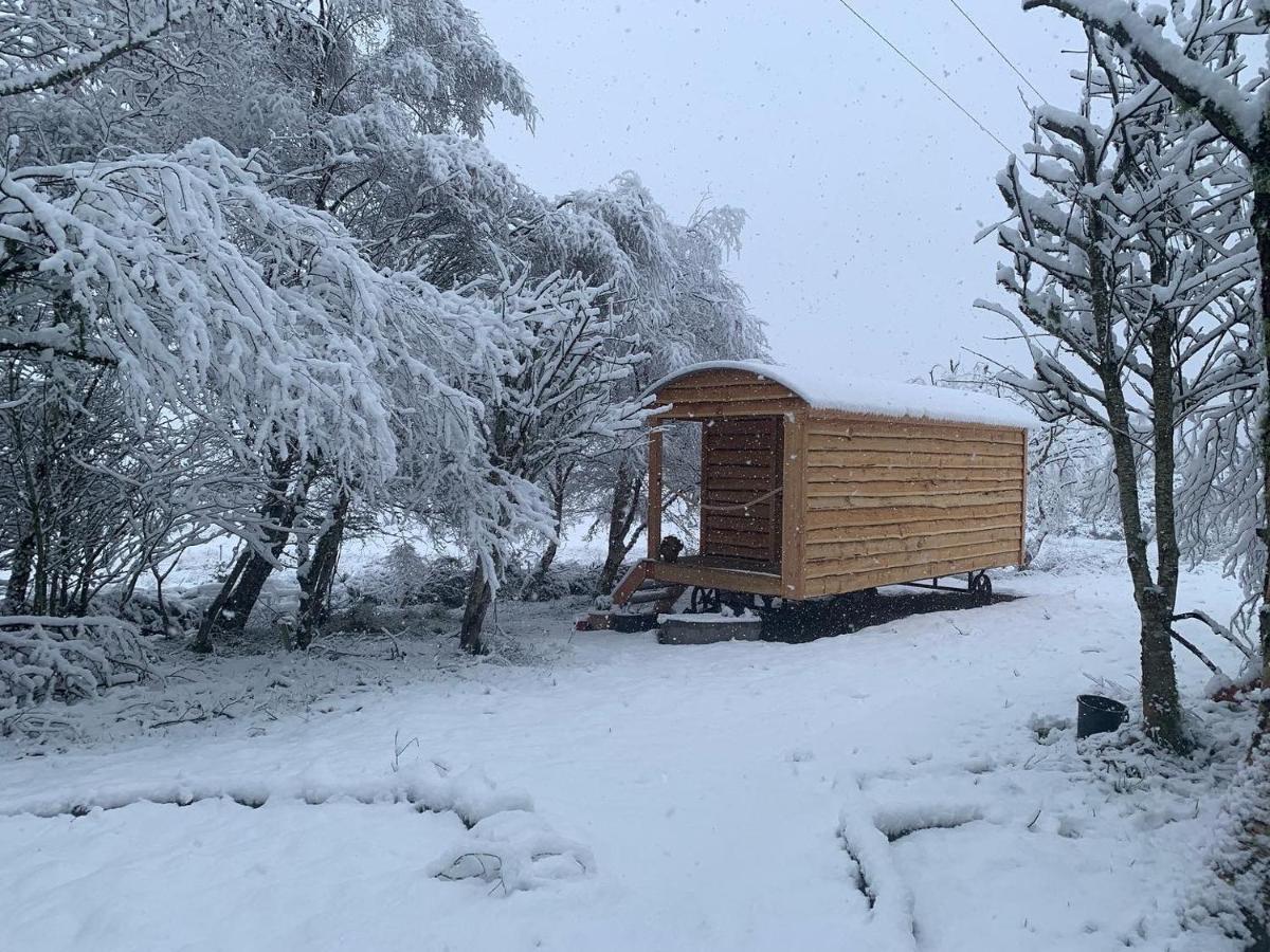 Hotel Birkenshaw - Beautiful Shepherd'S Hut In The Highlands. Dornoch Esterno foto