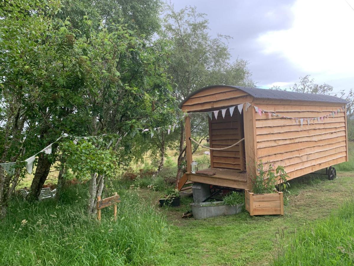 Hotel Birkenshaw - Beautiful Shepherd'S Hut In The Highlands. Dornoch Esterno foto