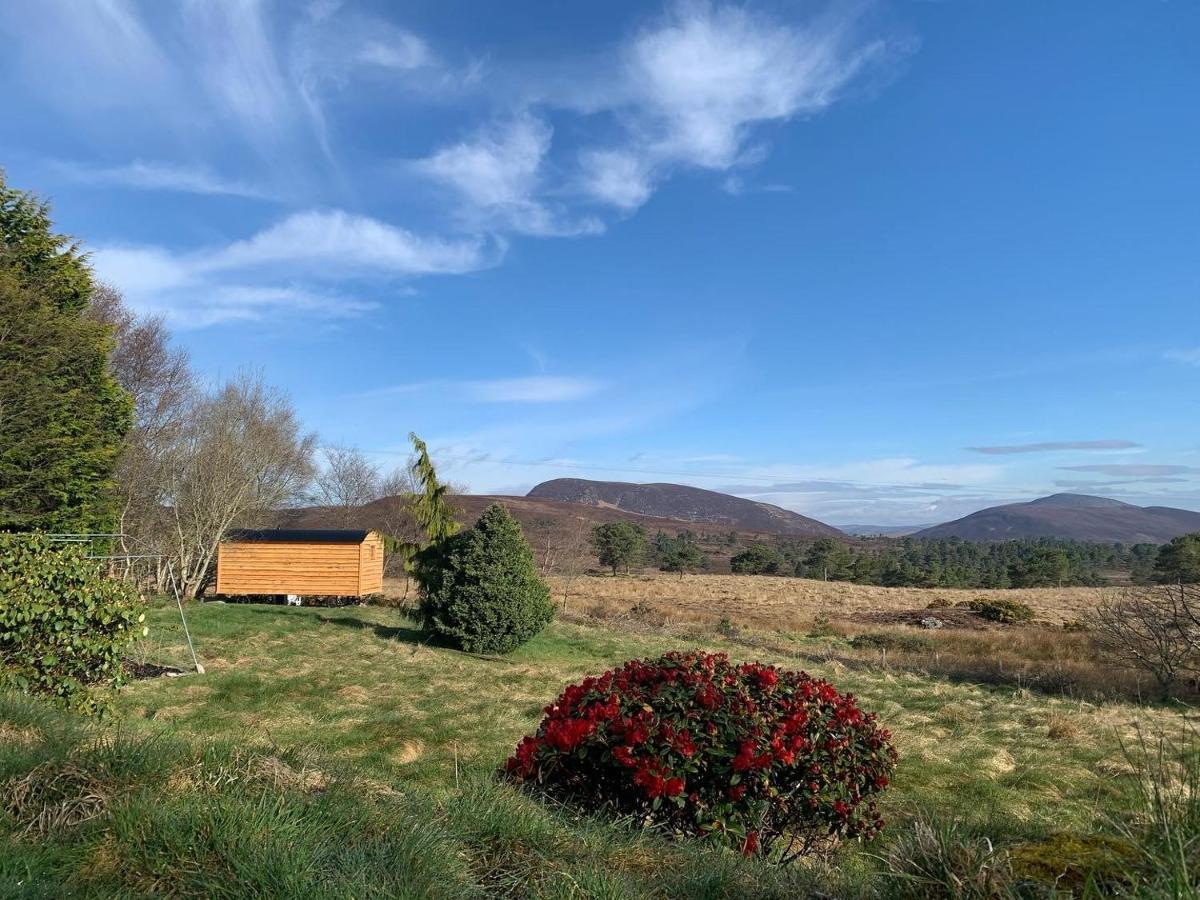 Hotel Birkenshaw - Beautiful Shepherd'S Hut In The Highlands. Dornoch Esterno foto