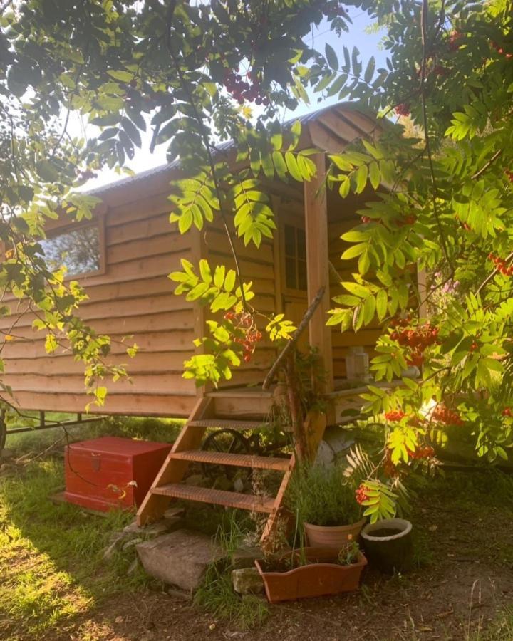 Hotel Birkenshaw - Beautiful Shepherd'S Hut In The Highlands. Dornoch Esterno foto